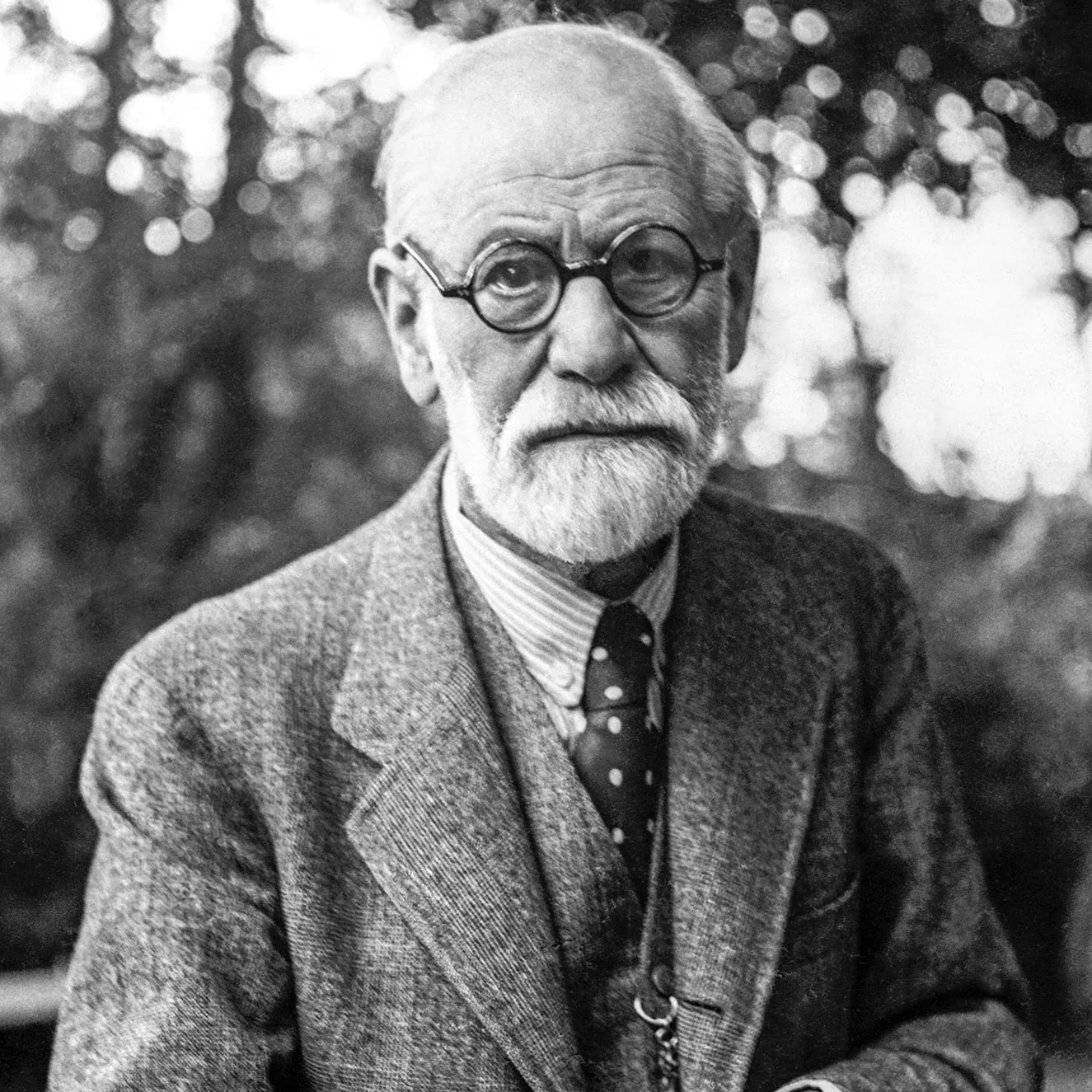 Reference image relating to Freud and mirror theory
