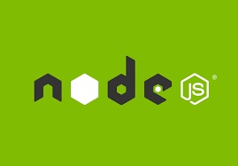 Screenshot showing Node.js and Vite installed