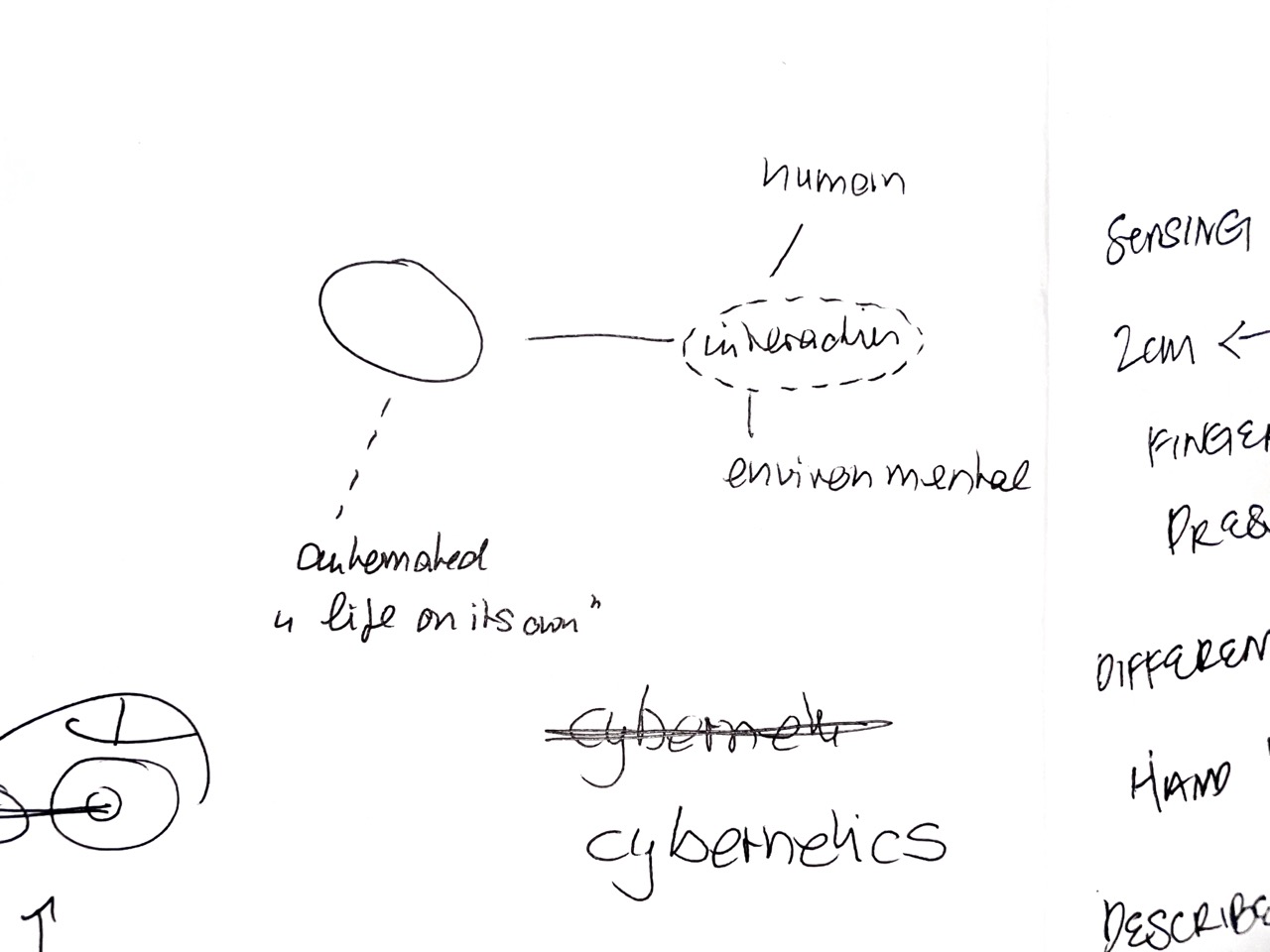Simple cybernetic loop diagram